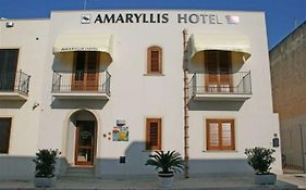 Amaryllis